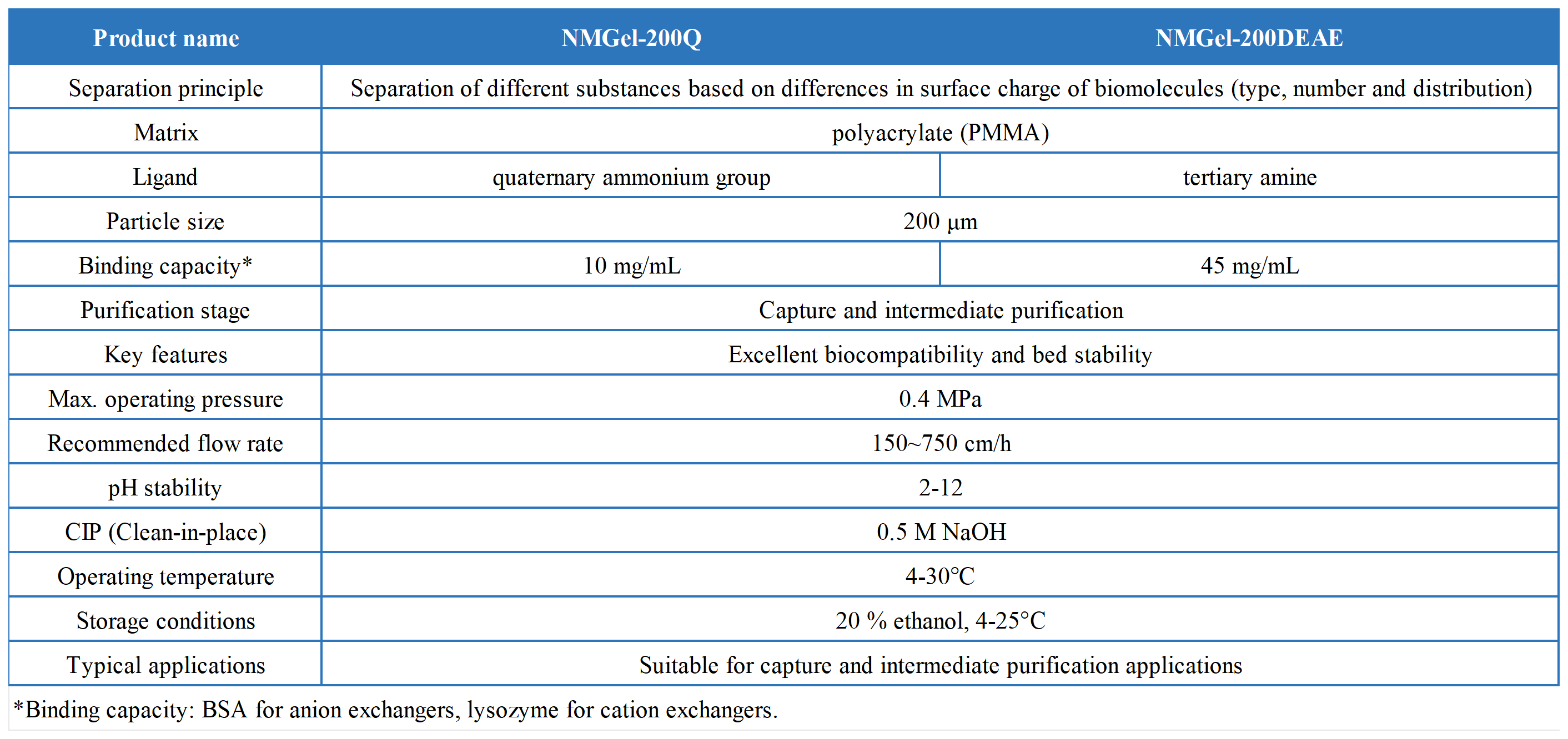 NMGel 系列离子交换层析预装柱_NMGel 离子交换层析介质-技术参数表 EN.png