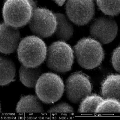 Carbon Nanotube.jpg