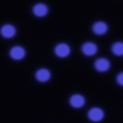 Fluorescent Sphere.jpg