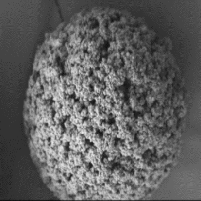 Large Pore Sphere.png