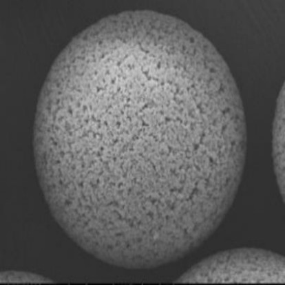 Microporous Sphere.jpg