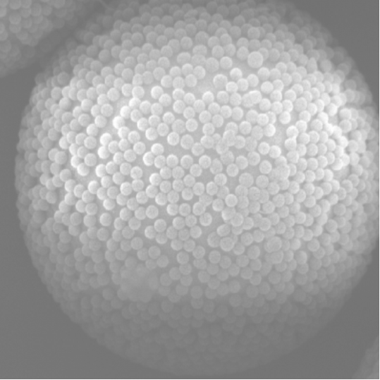 Sesame Sphere.png