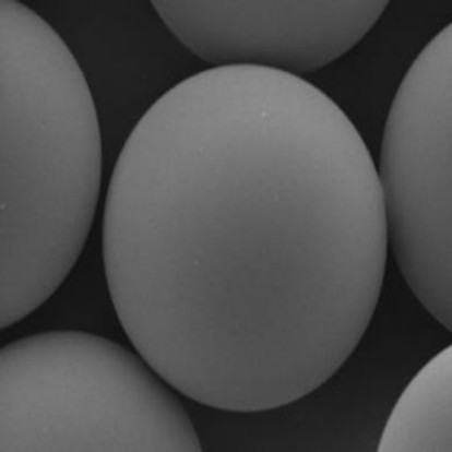 Solid Microsphere.jpg